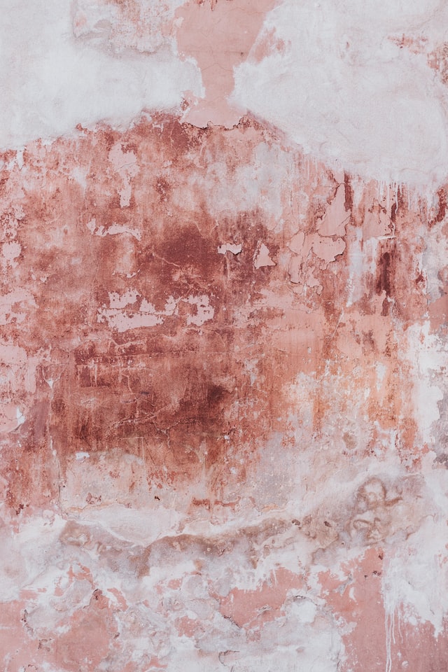The Truth About Painting Over Mold