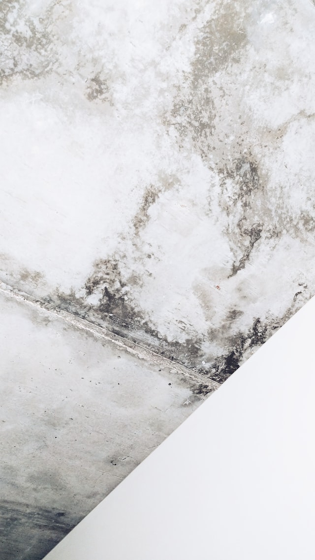Here’s Where Molds Are Hiding in Your Home