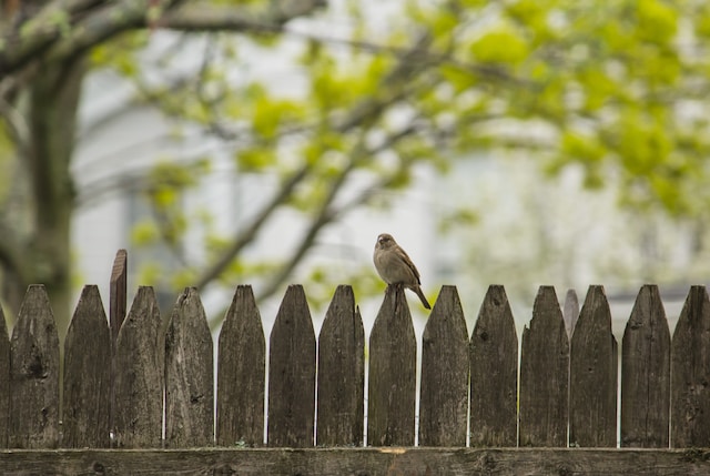 How Fences Stand the Test of Time: Ensure Longevity and Durability of Your Trumbull, CT, Fence
