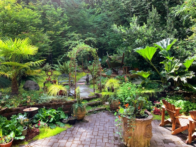 6 Low-Maintenance Landscaping Ideas for Busy Homeowners