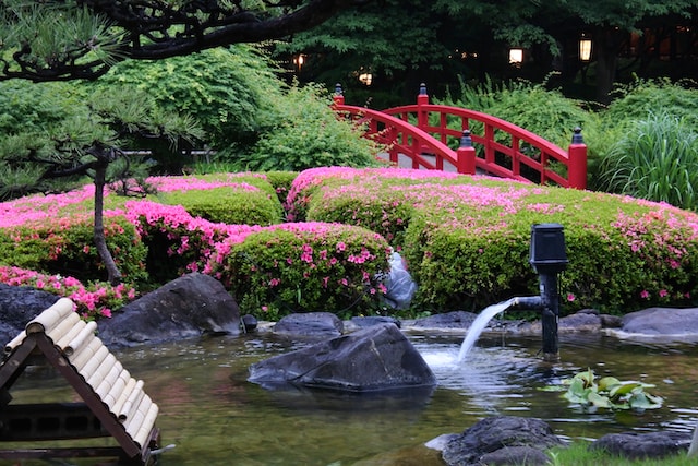 Love Pink? You’ll Adore These Pink-Infused Landscaping Themes and Styles!