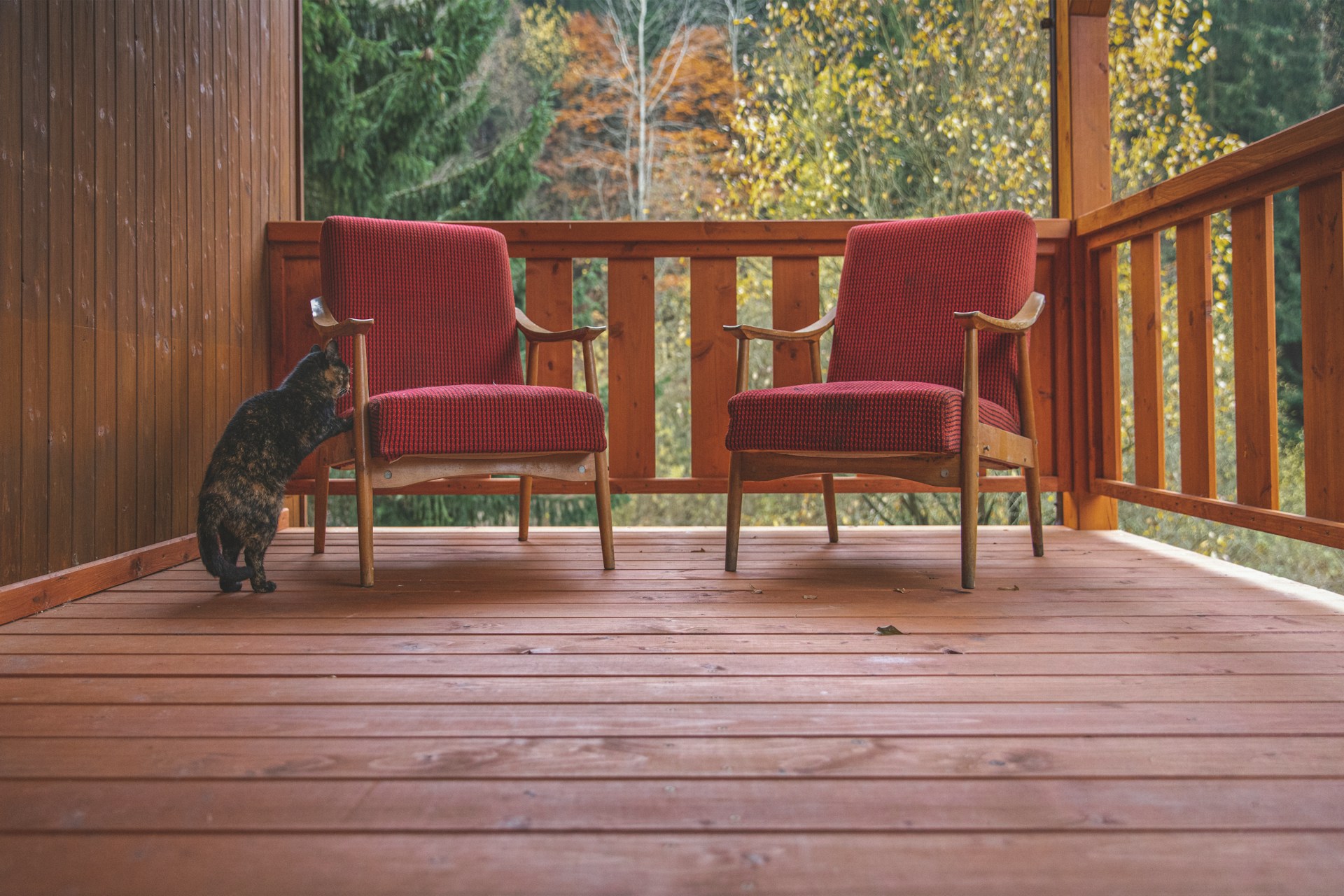 Reviving Your Outdoor Deck: Painting and Staining Techniques
