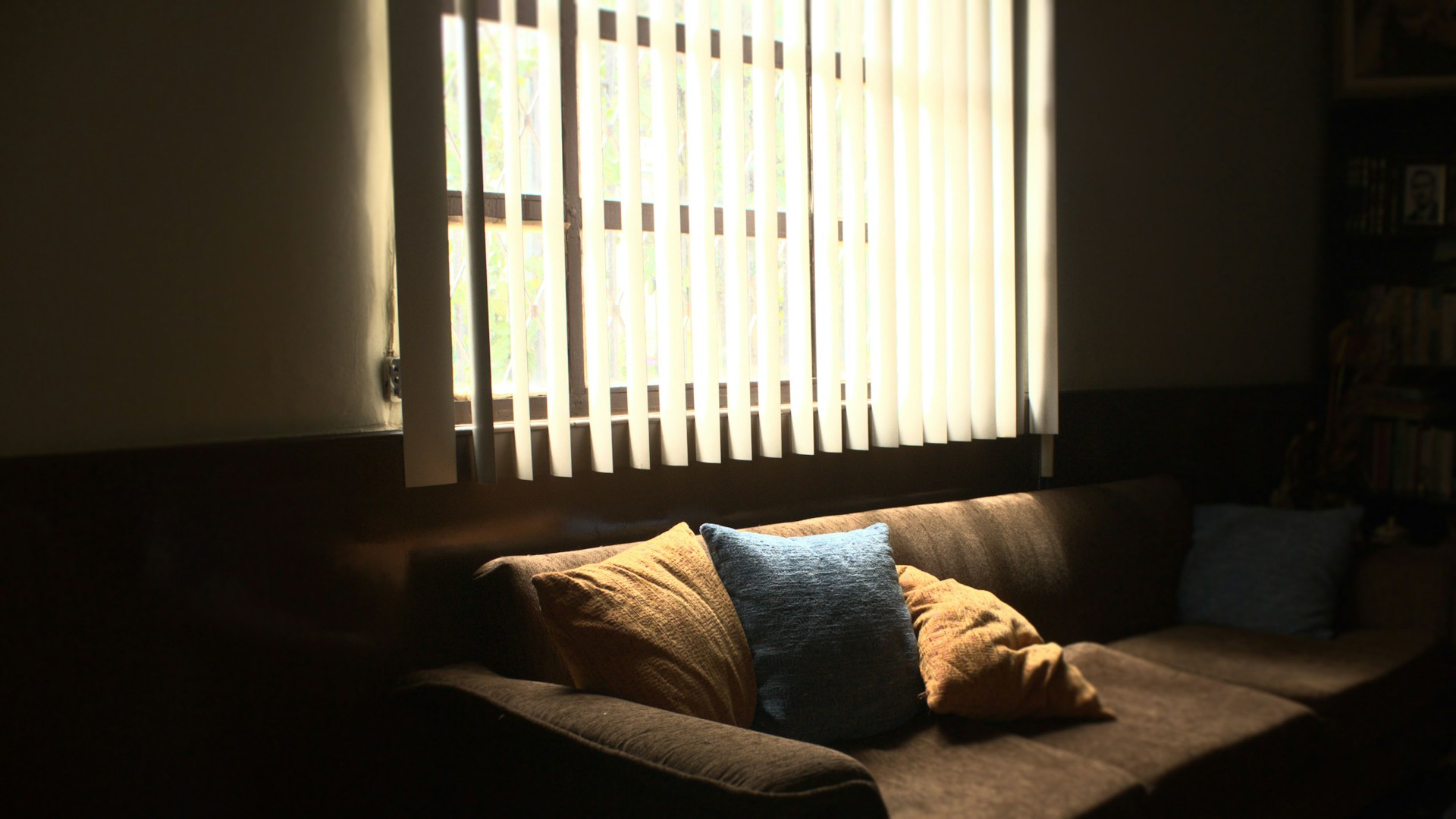 5 Types of Window Shades to Consider for Your Home