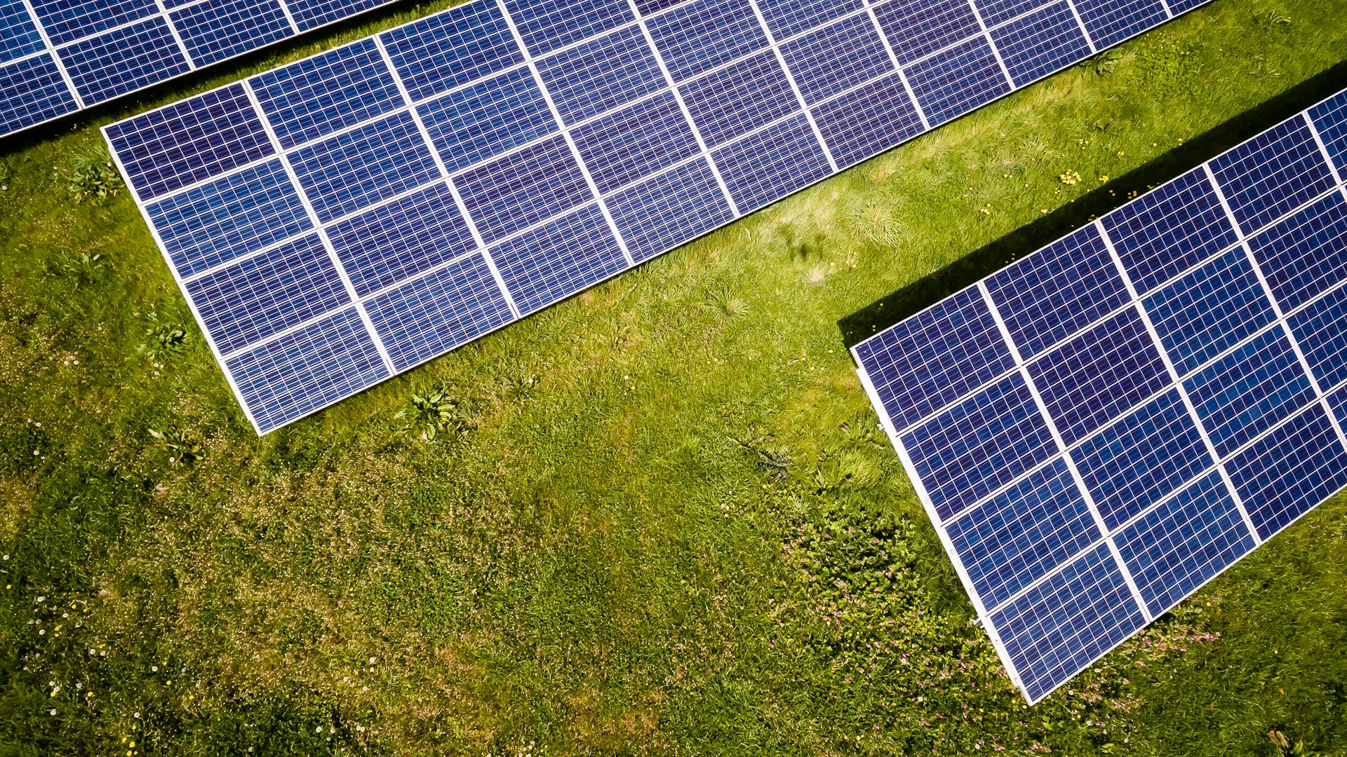 7 Factors to Consider When Choosing Solar Companies